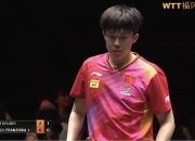 英雄联盟总决赛2025-猛虎队主场比赛失利，不敌对手实力遭受挑战