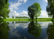 -巨龙远征伊斯坦布尔，克瓦拉茨赫利亚在沉默中点燃火药桶