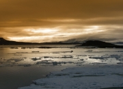 英雄联盟总决赛门票-暗夜刺客，当布克收起锋芒，篮网的铁血防守如何碾碎马刺？