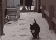 英雄联盟总决赛门票-爱德华兹光芒四射引爆麦迪逊，尼克斯全线开花碾压勇士震撼联盟