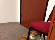 英雄联盟总决赛-北境闪电撕裂萨城夜空，哈利伯顿的22分钟关键先生宣言