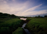 英雄联盟总决赛直播-跨速之战，F1胎面烧灼上海滩，CBA铁血绞杀破京师