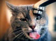 英雄联盟总决赛赛程-东西问，从单节风暴到西决接管—绝境中的英雄如何塑造比赛基因？