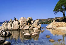 NBA｜国米双星闪耀，命运十字路口的双重奏！