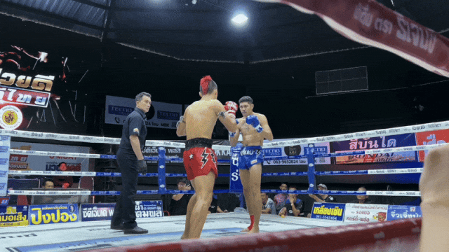 场面火爆！拳击观众席沸腾不已的简单介绍