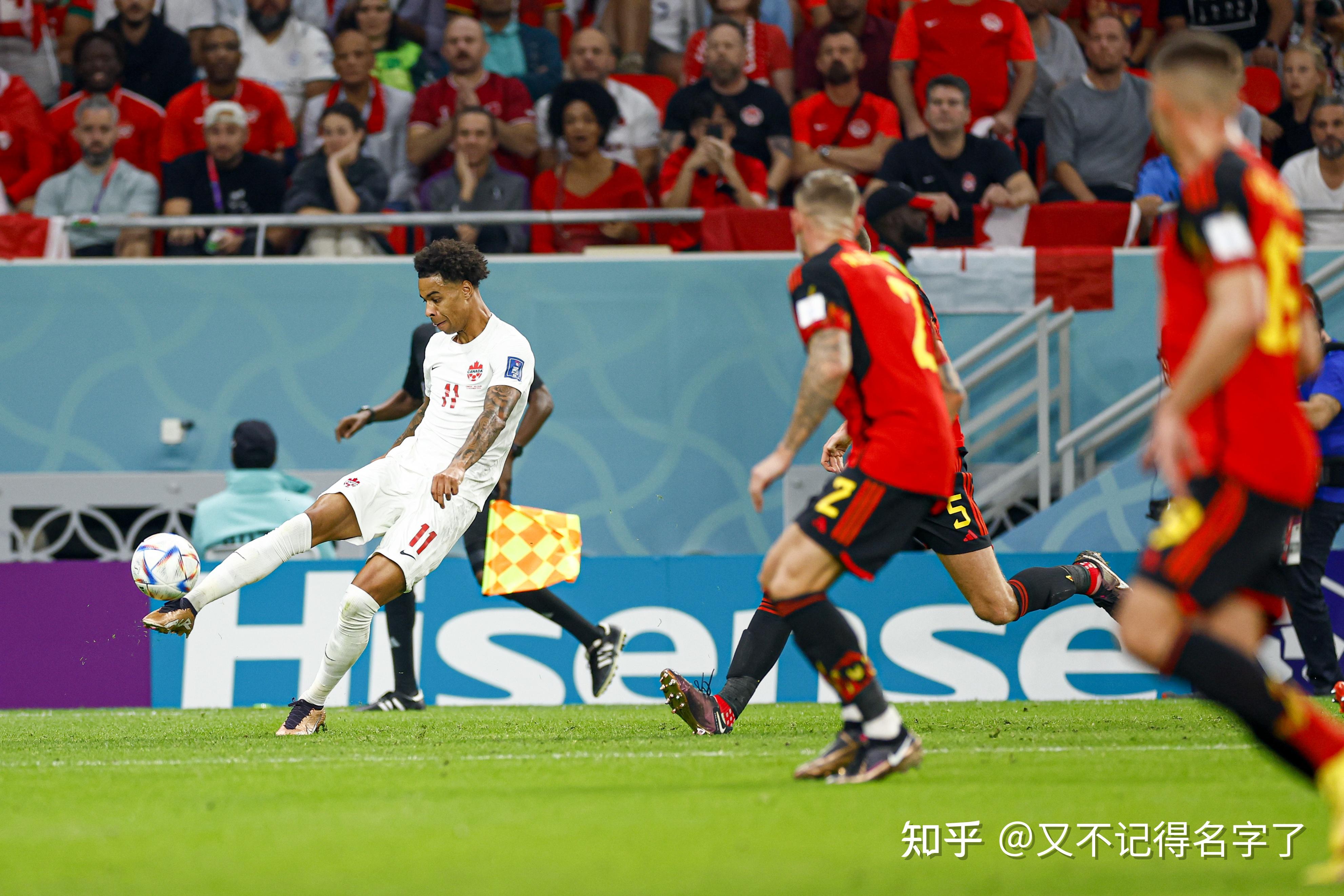 法国队碾压瑞典队，张本智和关键制胜