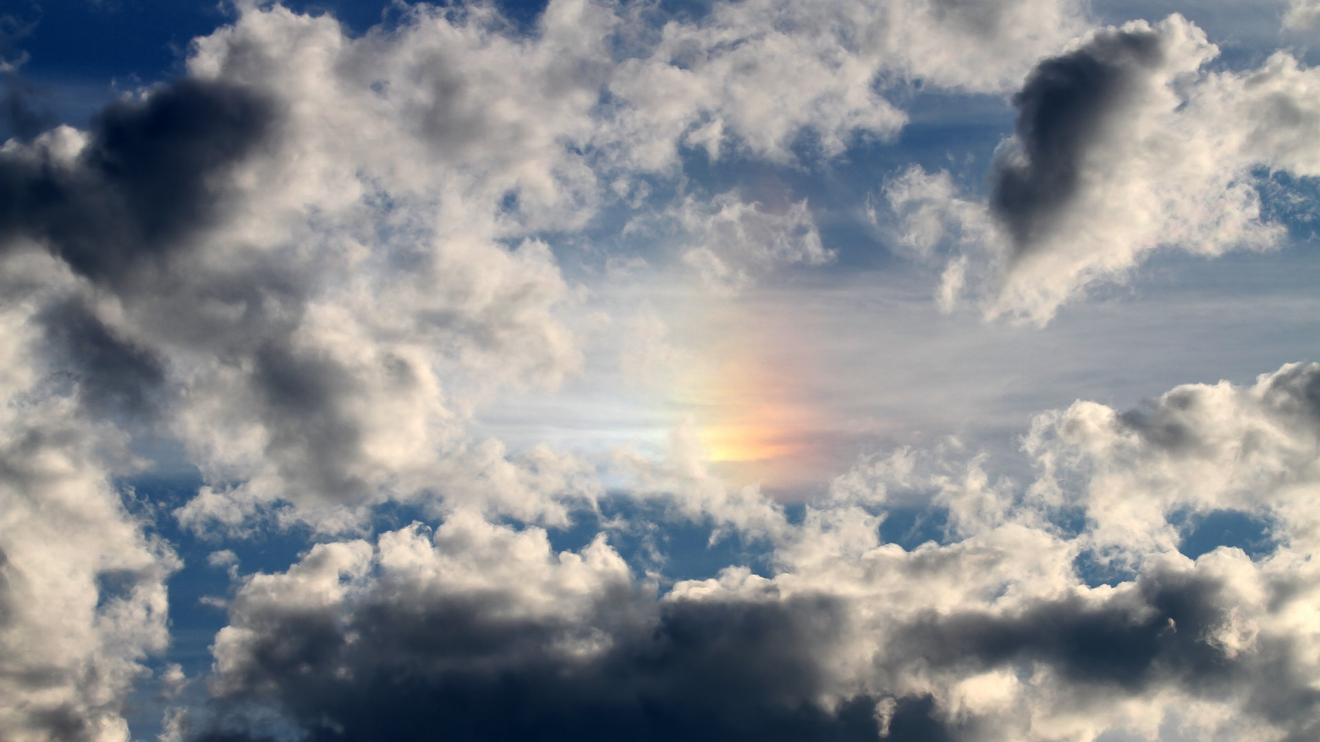 范弗利特献绝命三分，深圳胜猛龙创历史