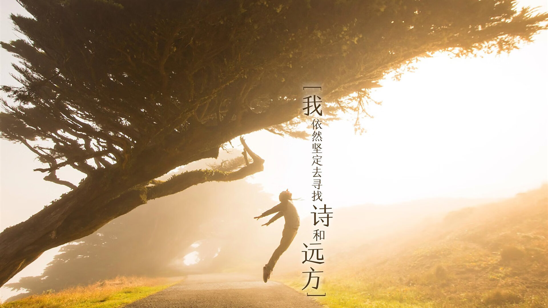 第三颗太阳升起时，当新西兰的雪原上奔走着罗德里戈的幽灵