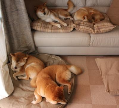 终场哨前的救世主，罗德里戈致命一击，助三狮军团撕裂乌拉圭铁壁