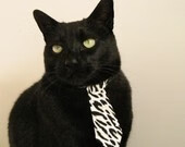 浙江队狂飙突进，恩比德统治力觉醒，巨星闪耀时刻