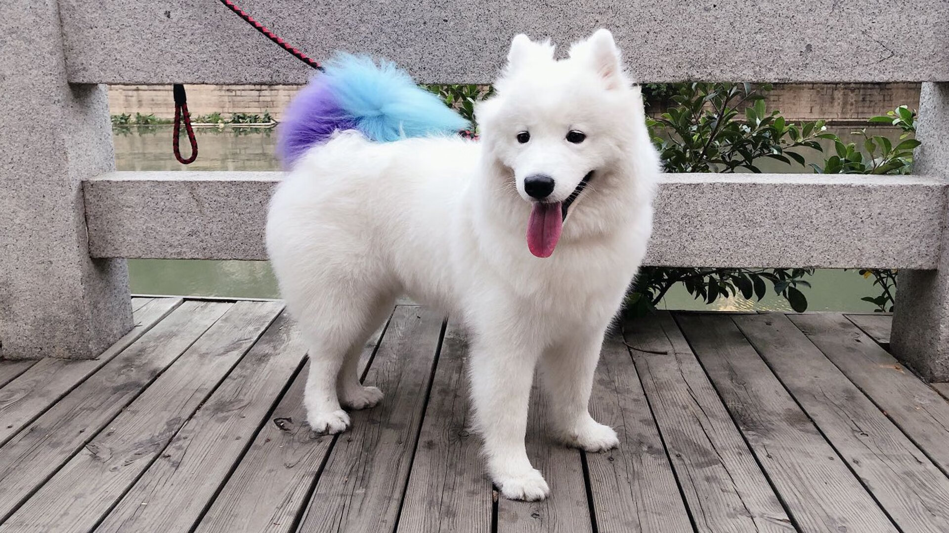 绿茵交响诗，当卡马文加以一己之力重写哥伦比亚对阵玻利维亚的叙事