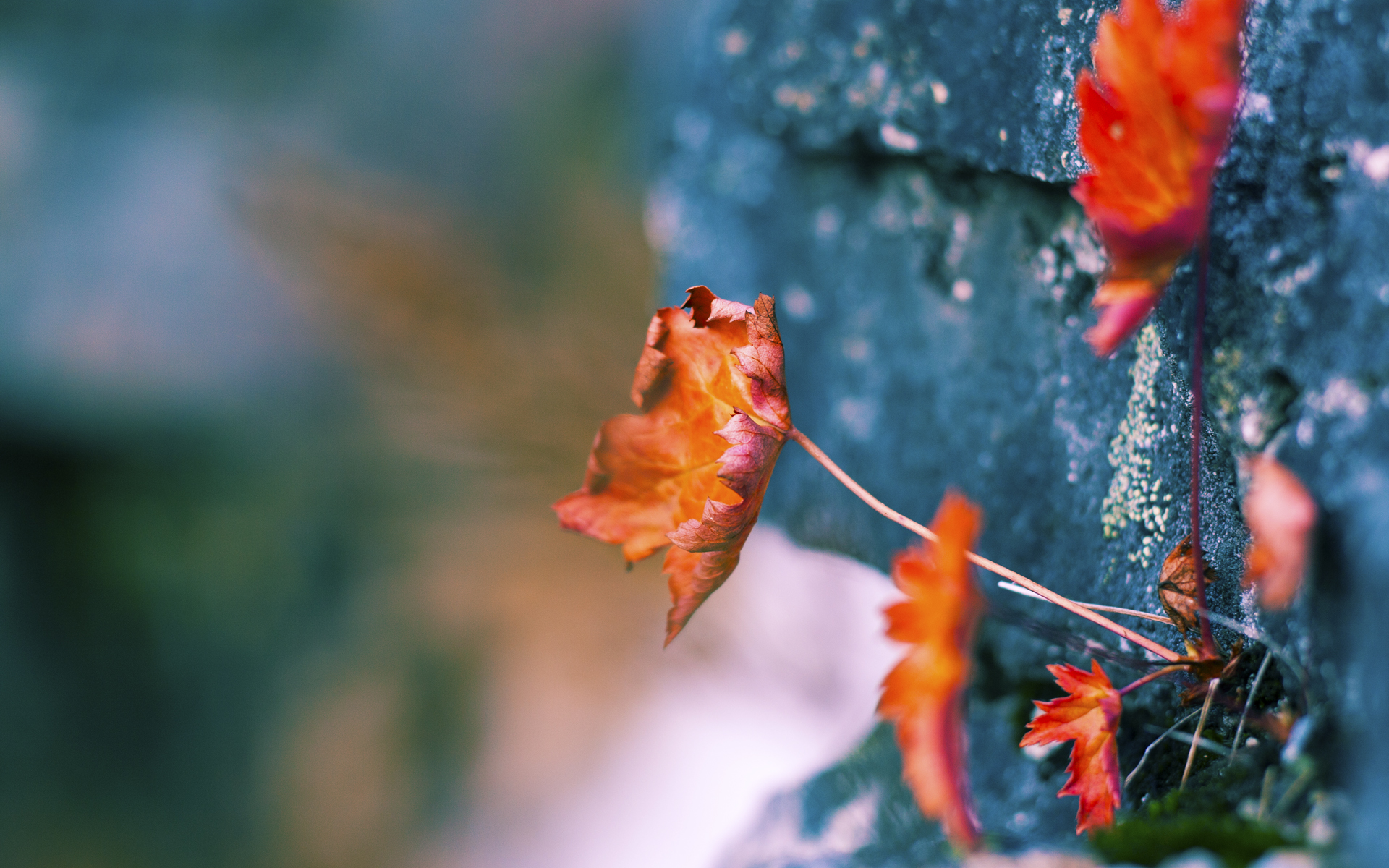 命运的交错，2026世界杯E组焦点战，瑞士逆转阿根廷，萨卡用青春撕碎神话